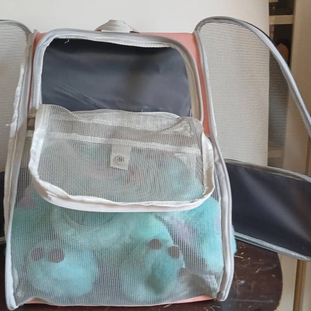 Unique Bargains Pet Backpack Foldable Pet Backpack for Cats and Small Dogs